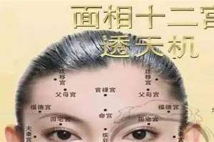 可以改变面相的生肖女(可以改变面相的生肖)