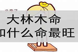 大林木起名字的五行(大林木起名字)