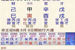 八字戊戌年己未月癸卯日癸亥时的八字怎么样(八字戊戌年)