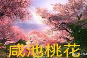 命犯桃花的八字(命犯桃花八字)