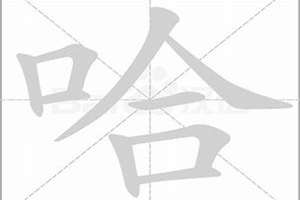 哈字起名宠物猫(哈字起名)