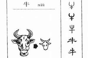 牛字起名大全(牛字起名)