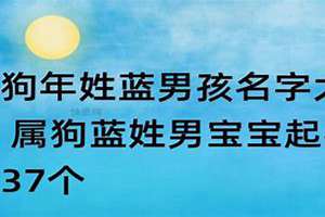 蓝姓男孩起名时尚点的字有哪些(蓝姓男孩起名时尚点的)