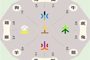 紫字五行属火还是金(紫的五行属性属什么)