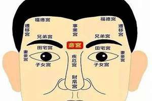 面相什么是反骨(看面相什么叫反骨)