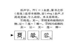 蓉字取名的寓意女孩微信网名(蓉字取名的寓意女孩)