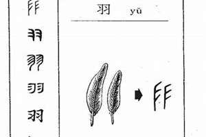 羽字取名的寓意和象征(羽字属于五行属什么)