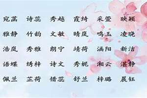 王起名四个字女孩兔宝(王起名四个字)