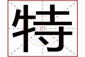 特起名字好吗(特起名)