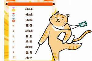 用猫起名字什么好听(用猫起名)