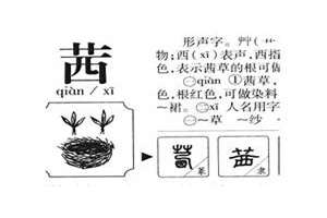 茜起名啥意思(茜xi起名意思是什么)