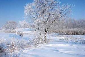 给雪景起名字大全(给雪景起名)