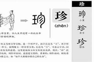 珍字起名字(珍字起名)