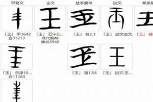 玉字起名字大全男孩女孩(玉字起名字)