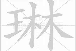 琳字起名字的寓意(琳字起名字)