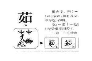 茹姓取名字大全(茹姓起名)