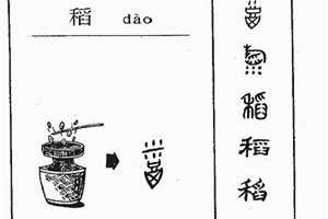 稻字起名寓意(稻字起名)