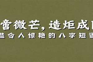 经典八字短语大全(经典八字短语)