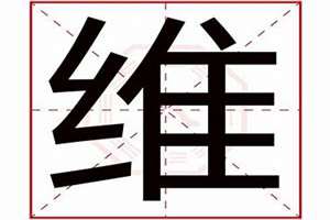 维字起名字大全男孩(维字起名字)