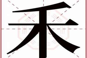 禾起名字好吗(禾起名字)