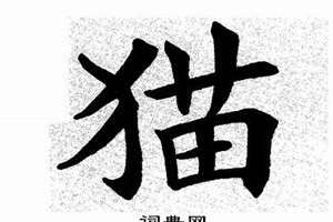 猫字在田字格图片(猫田字面相)