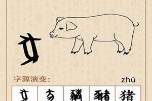 猪字起名搞笑(猪字起名)