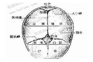 矢状缝凸起怎么回事?(矢状缝凹陷面相)