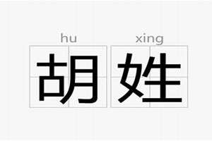 胡姓起名大全四个字男孩(胡姓起名)