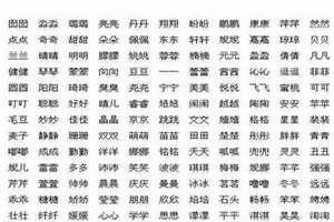 鸡男宝宝取什么名字好(男鸡宝宝起名大全乳名)