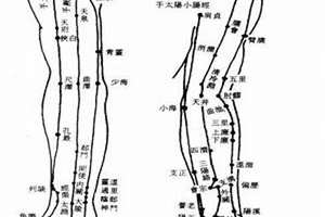 胳膊长的人命运(胳膊长面相)