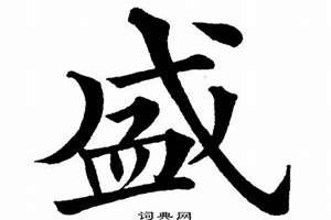 盛字起名字大全霸气(盛字起名字)