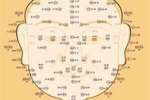 癸酉时辰看面相详解(癸酉时辰看面相)