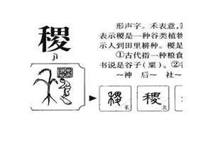 稷起名字好听吗?(稷起名字)