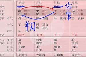 羊刃女性(羊刃八字女)