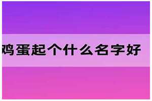 给鸡蛋起名字叫什么(给鸡蛋起名字)