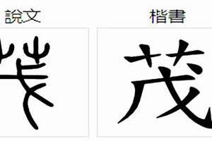 茂字起名最佳配字(茂字起名)