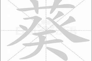 八字里的葵是什么意思(葵字八字)