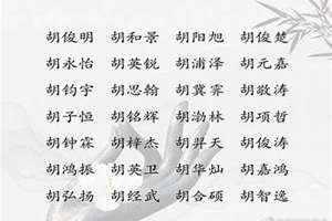 胡起名字大全洋气(胡起名字大全)