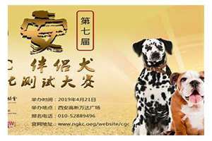 犬业起名字大全(犬业起名)