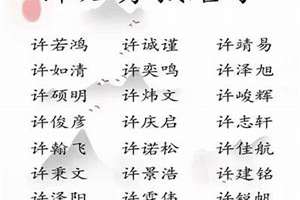 徐姓起名大全男孩名字(许姓起名男孩名字大全)