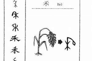 禾字起名寓意好不(禾字起名的寓意好吗)