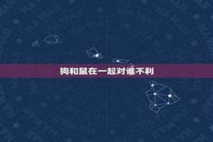 狗和鼠在一起对谁不利2023(狗和鼠在一起对谁不利)