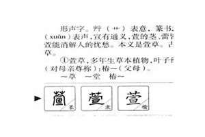 萱字起名字过去的寓意(萱字起名字)