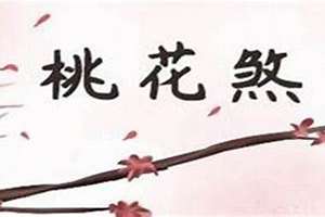 八字犯桃花是什么样子(犯桃花八字)