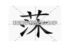 莯起名和哪个字配男孩子(莯起名和哪个字配)