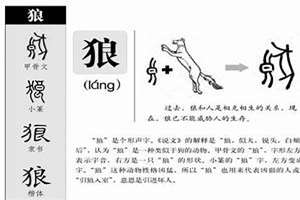 狼字怎么取名好听(狼字起名)