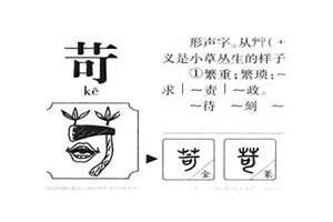 苛起名字(苛起名)