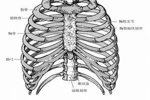 胸前骨外凸(胸前异骨突起面相)
