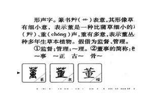 董字起名大全4个字(董字起名大全)