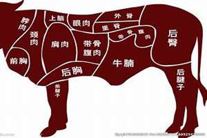 牛肉馆起名大全集(牛肉馆起名大全)